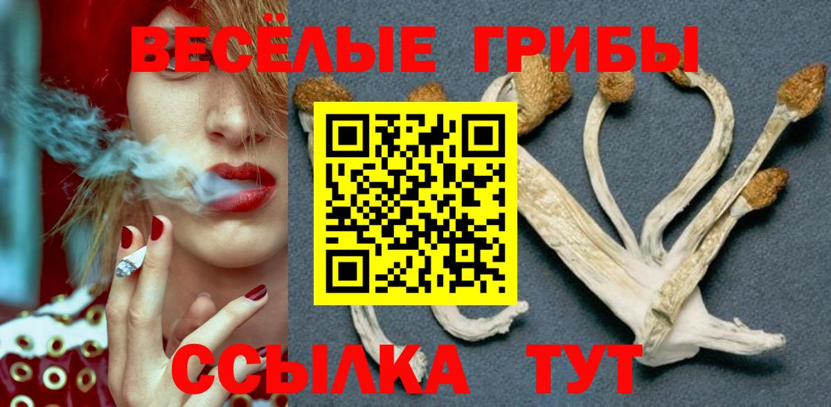 наркошоп  Вход с VPN  Борисоглебск  Галлюциногенные грибы Psilocybe 